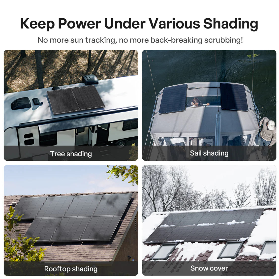 Renogy 200W Solar Panel